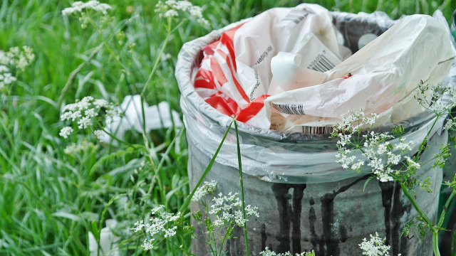 recycling bins curbside pickup