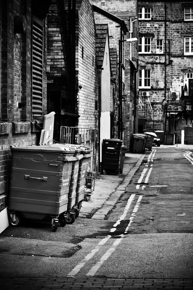 wheelie bin curb morning street